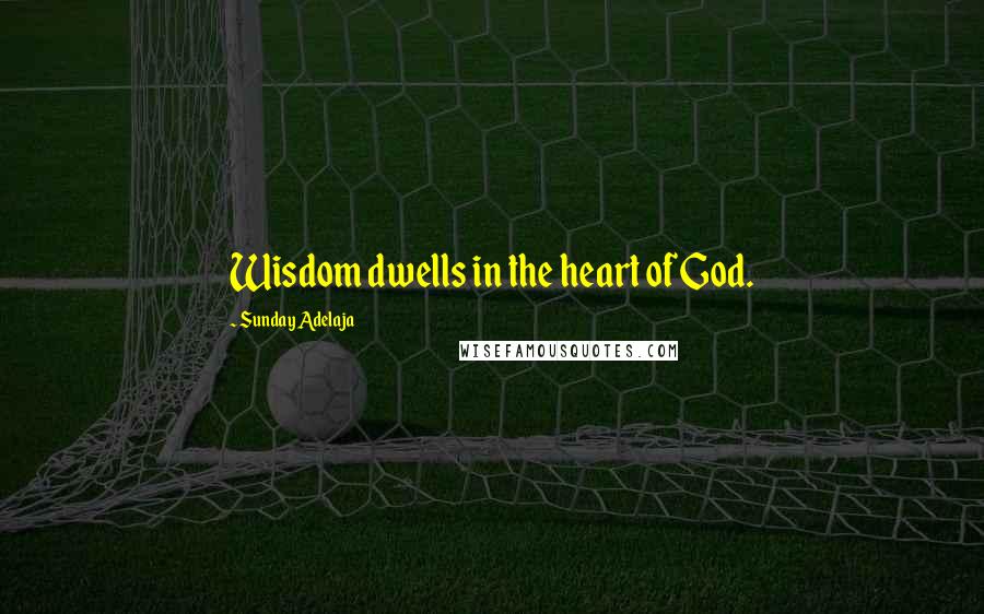 Sunday Adelaja Quotes: Wisdom dwells in the heart of God.