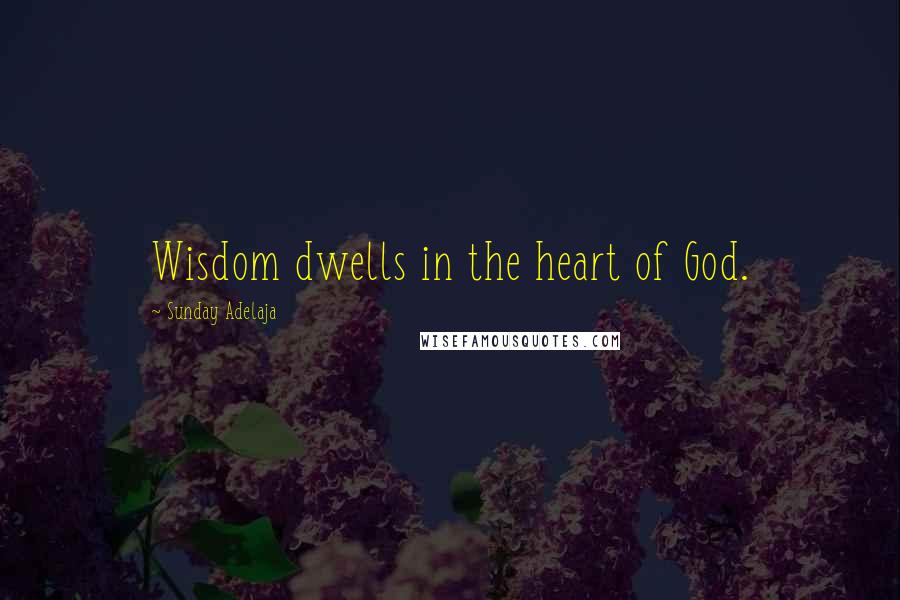 Sunday Adelaja Quotes: Wisdom dwells in the heart of God.