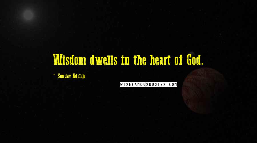 Sunday Adelaja Quotes: Wisdom dwells in the heart of God.