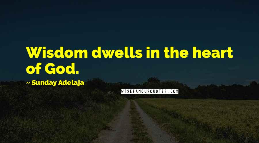 Sunday Adelaja Quotes: Wisdom dwells in the heart of God.