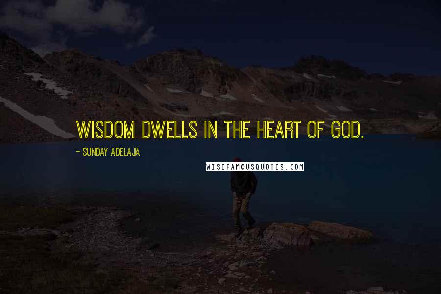 Sunday Adelaja Quotes: Wisdom dwells in the heart of God.