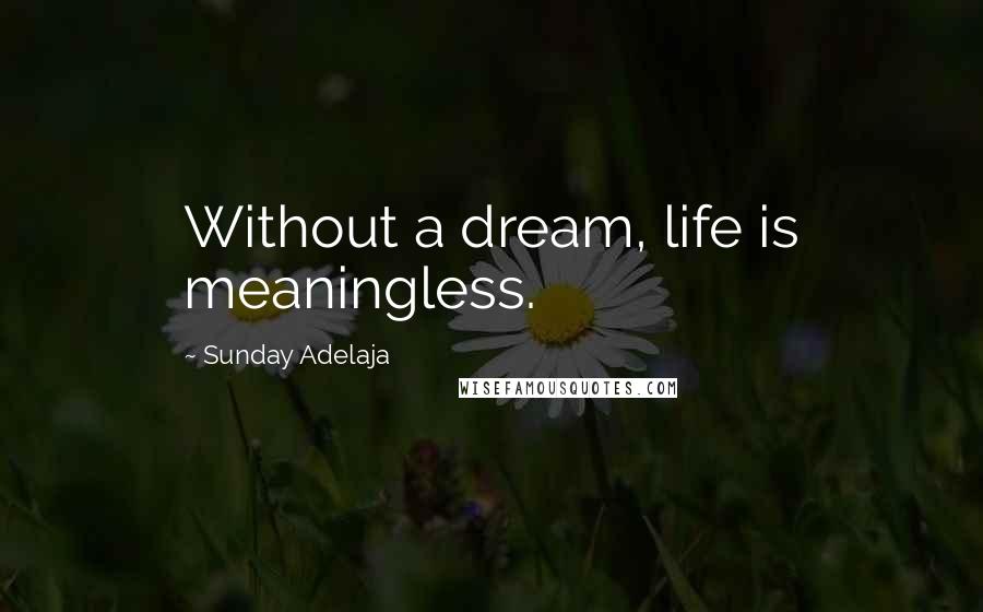 Sunday Adelaja Quotes: Without a dream, life is meaningless.