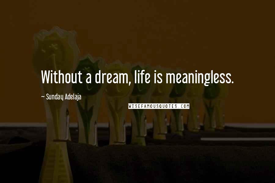 Sunday Adelaja Quotes: Without a dream, life is meaningless.