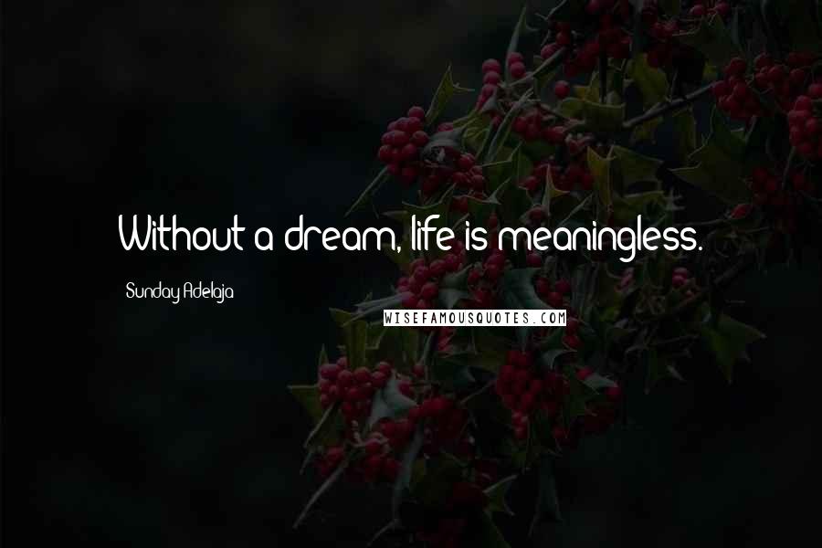 Sunday Adelaja Quotes: Without a dream, life is meaningless.