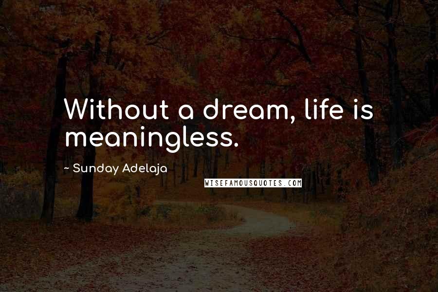 Sunday Adelaja Quotes: Without a dream, life is meaningless.