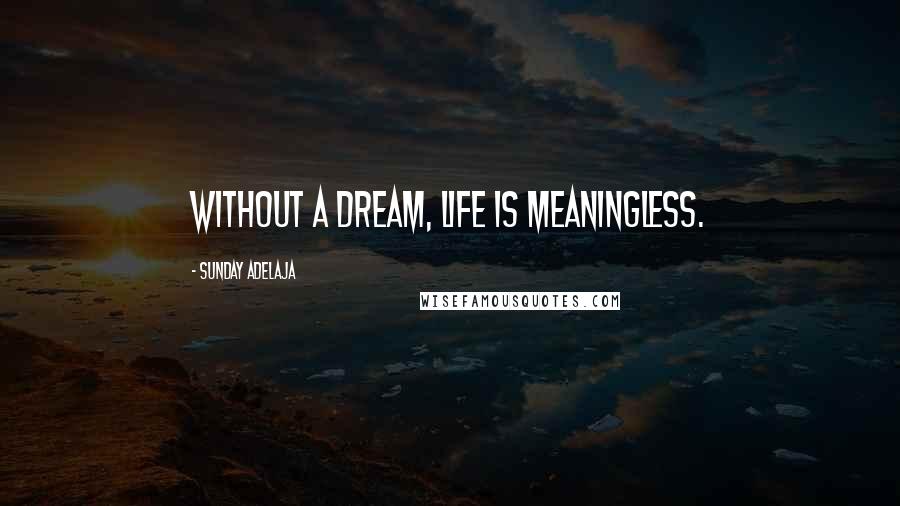 Sunday Adelaja Quotes: Without a dream, life is meaningless.