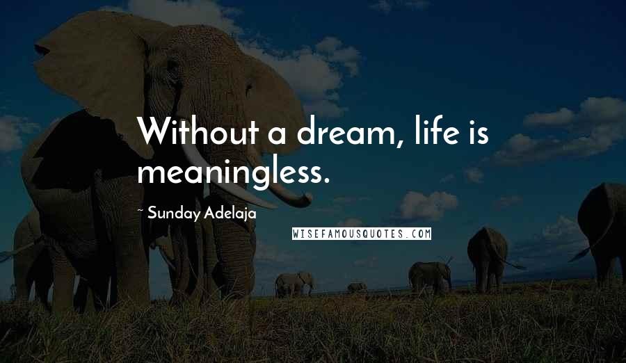 Sunday Adelaja Quotes: Without a dream, life is meaningless.