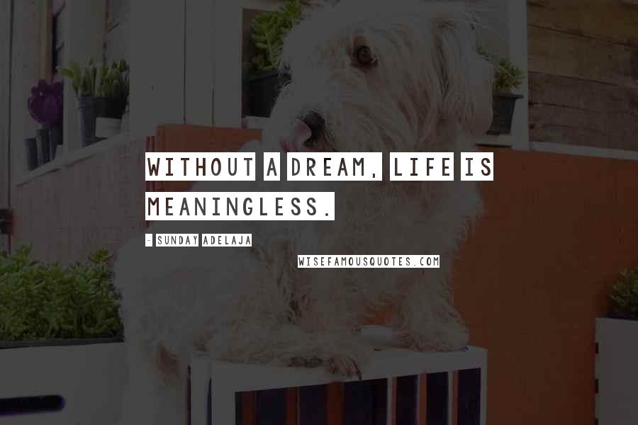 Sunday Adelaja Quotes: Without a dream, life is meaningless.