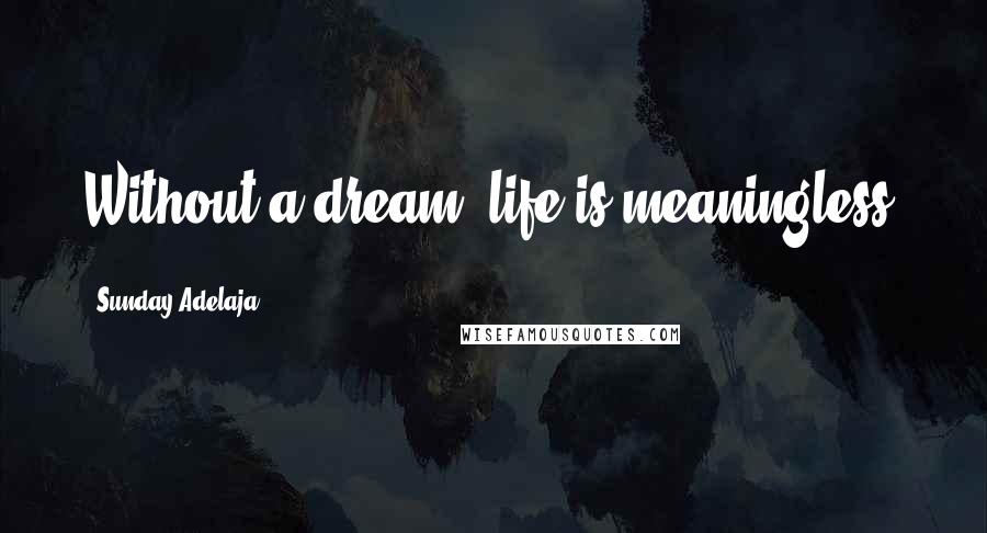 Sunday Adelaja Quotes: Without a dream, life is meaningless.