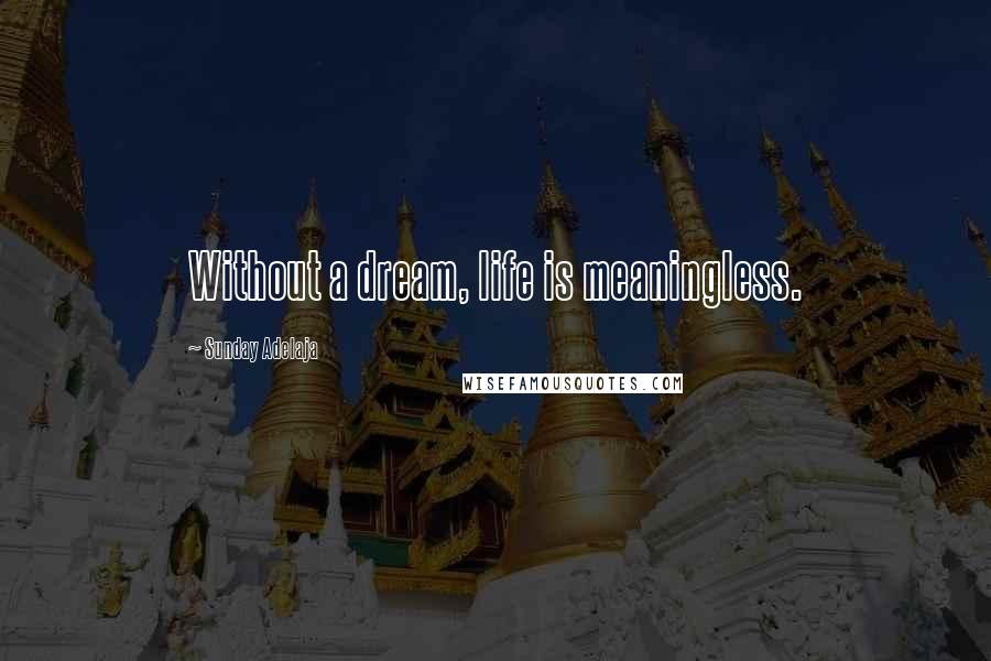 Sunday Adelaja Quotes: Without a dream, life is meaningless.