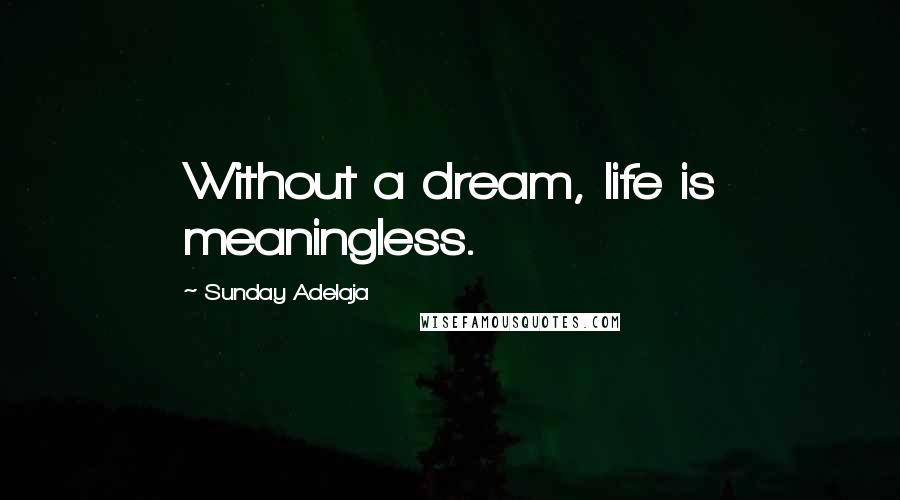 Sunday Adelaja Quotes: Without a dream, life is meaningless.