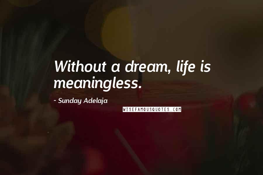 Sunday Adelaja Quotes: Without a dream, life is meaningless.