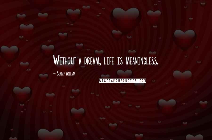 Sunday Adelaja Quotes: Without a dream, life is meaningless.