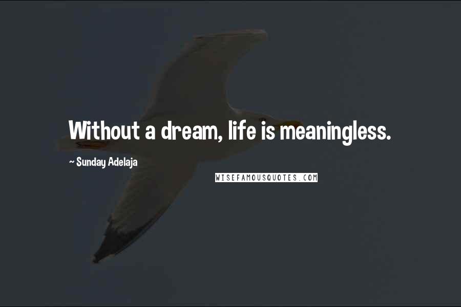 Sunday Adelaja Quotes: Without a dream, life is meaningless.