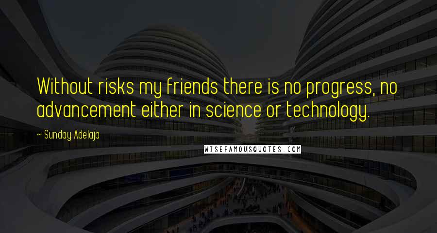 Sunday Adelaja Quotes: Without risks my friends there is no progress, no advancement either in science or technology.