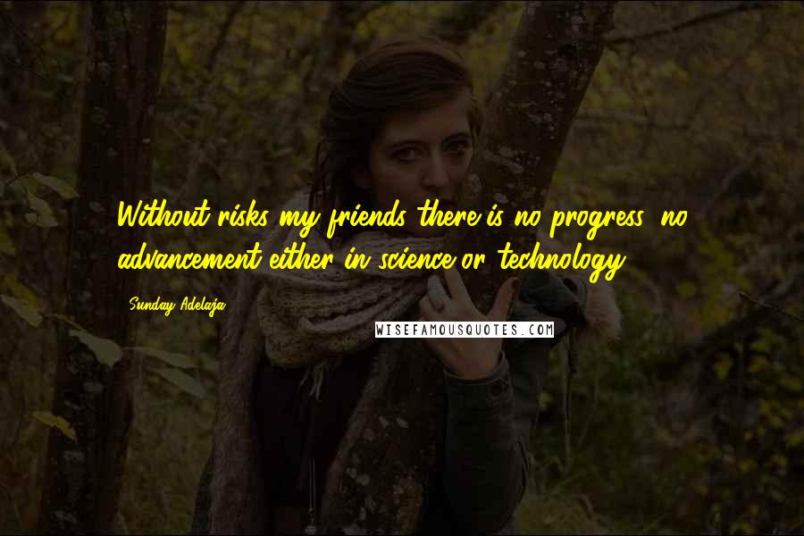 Sunday Adelaja Quotes: Without risks my friends there is no progress, no advancement either in science or technology.