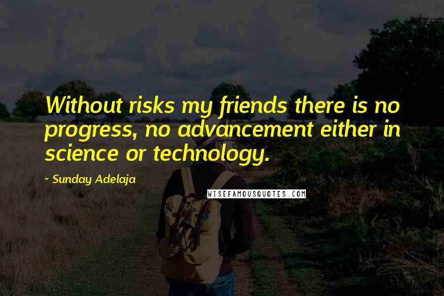 Sunday Adelaja Quotes: Without risks my friends there is no progress, no advancement either in science or technology.