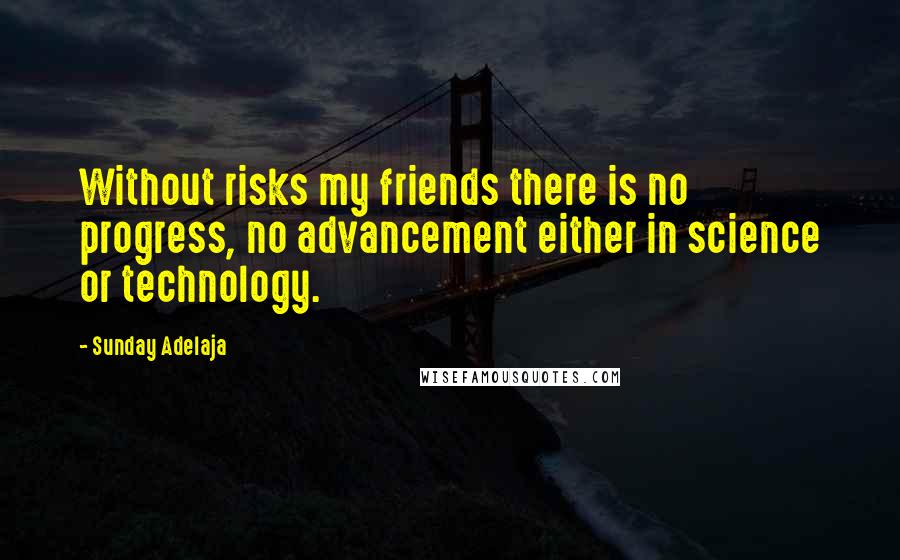 Sunday Adelaja Quotes: Without risks my friends there is no progress, no advancement either in science or technology.