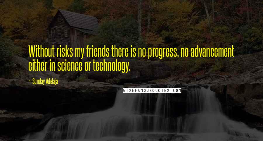 Sunday Adelaja Quotes: Without risks my friends there is no progress, no advancement either in science or technology.