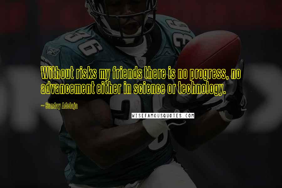 Sunday Adelaja Quotes: Without risks my friends there is no progress, no advancement either in science or technology.