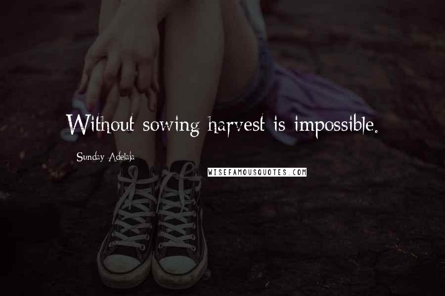 Sunday Adelaja Quotes: Without sowing harvest is impossible.