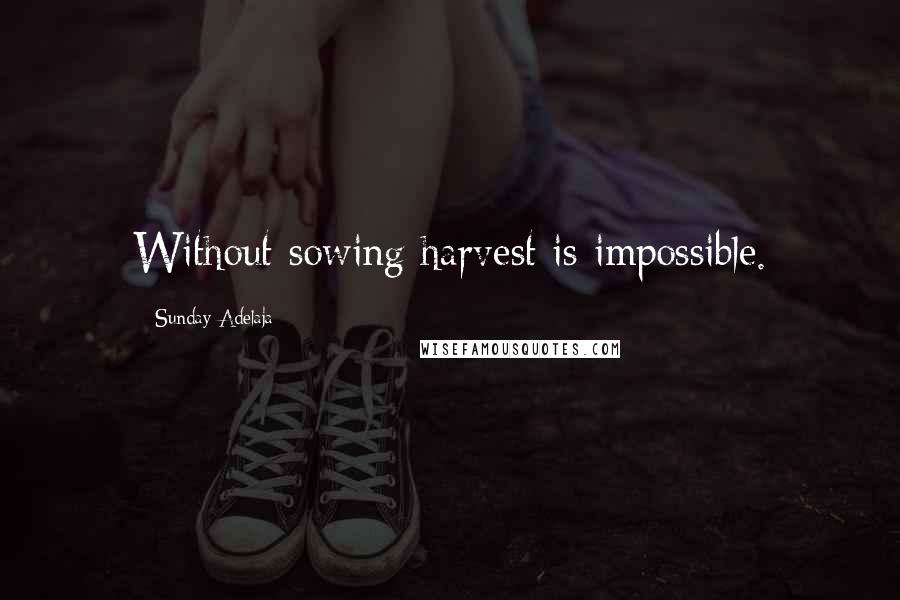 Sunday Adelaja Quotes: Without sowing harvest is impossible.