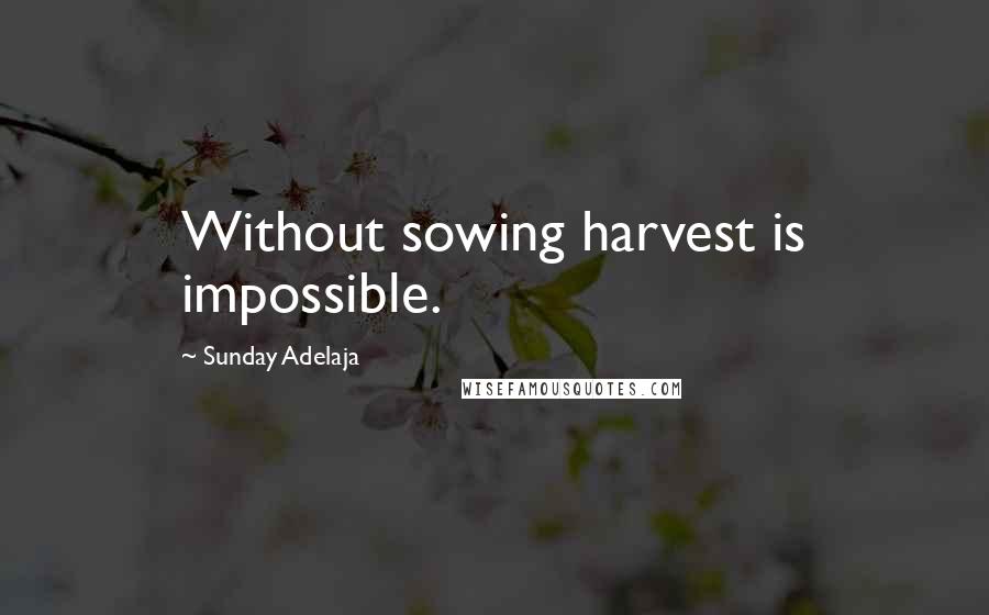 Sunday Adelaja Quotes: Without sowing harvest is impossible.