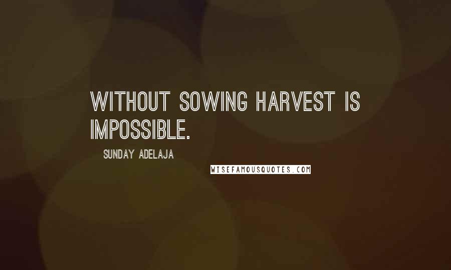 Sunday Adelaja Quotes: Without sowing harvest is impossible.