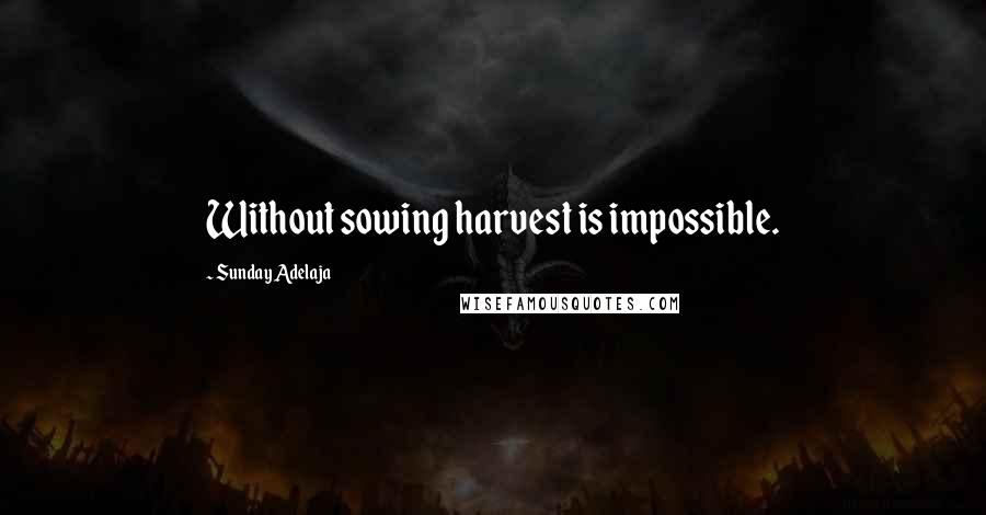 Sunday Adelaja Quotes: Without sowing harvest is impossible.