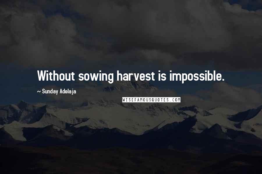 Sunday Adelaja Quotes: Without sowing harvest is impossible.