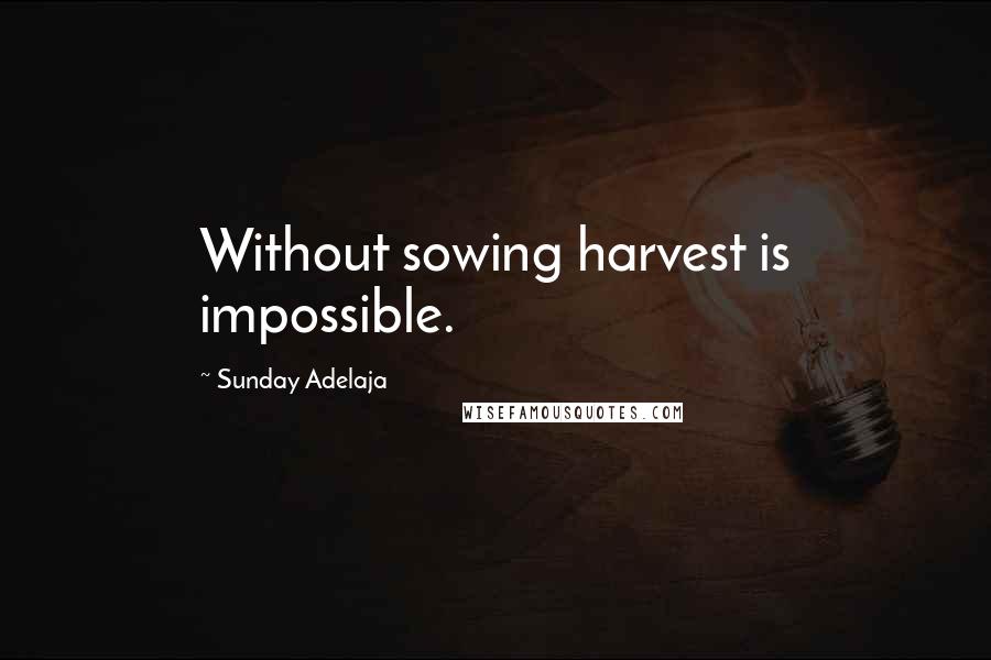 Sunday Adelaja Quotes: Without sowing harvest is impossible.