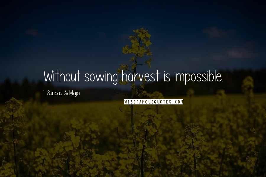 Sunday Adelaja Quotes: Without sowing harvest is impossible.