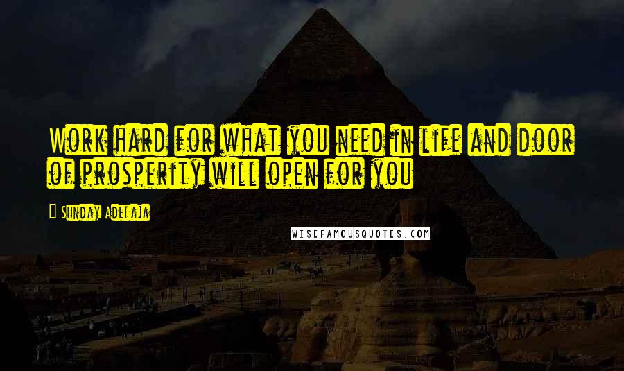 Sunday Adelaja Quotes: Work hard for what you need in life and door of prosperity will open for you