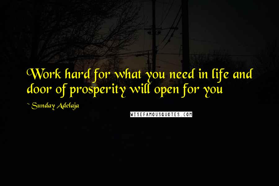 Sunday Adelaja Quotes: Work hard for what you need in life and door of prosperity will open for you