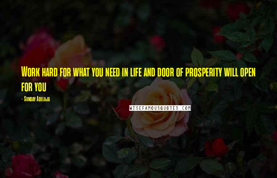 Sunday Adelaja Quotes: Work hard for what you need in life and door of prosperity will open for you