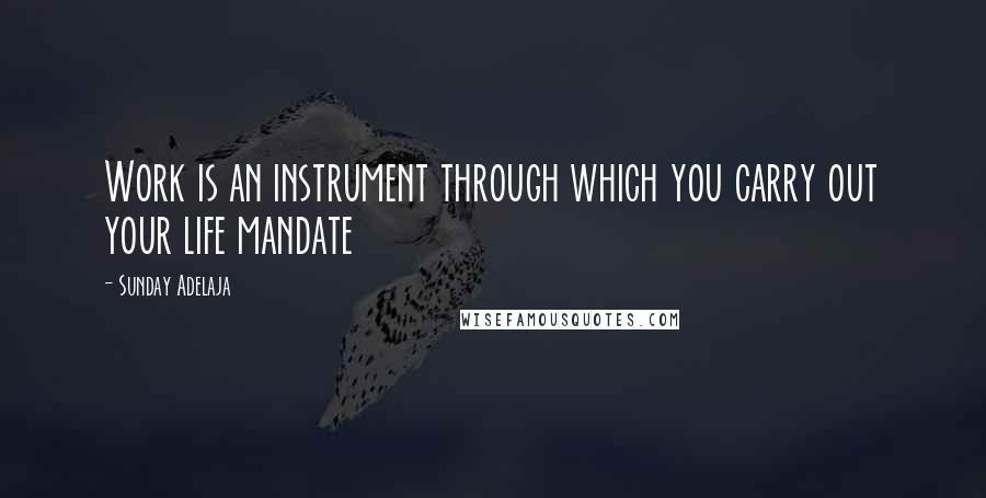 Sunday Adelaja Quotes: Work is an instrument through which you carry out your life mandate