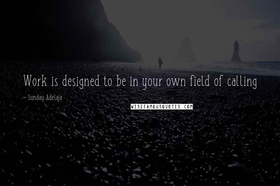 Sunday Adelaja Quotes: Work is designed to be in your own field of calling