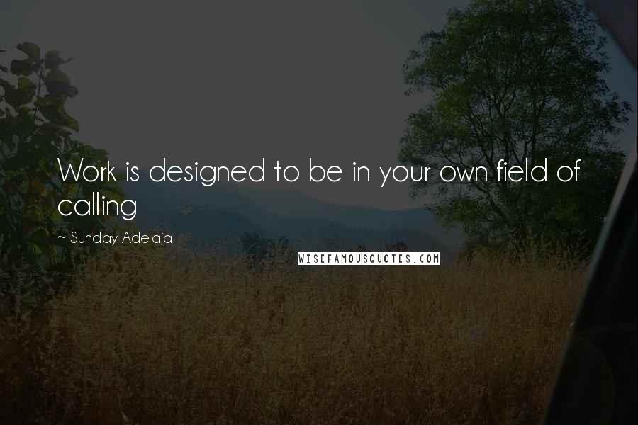 Sunday Adelaja Quotes: Work is designed to be in your own field of calling