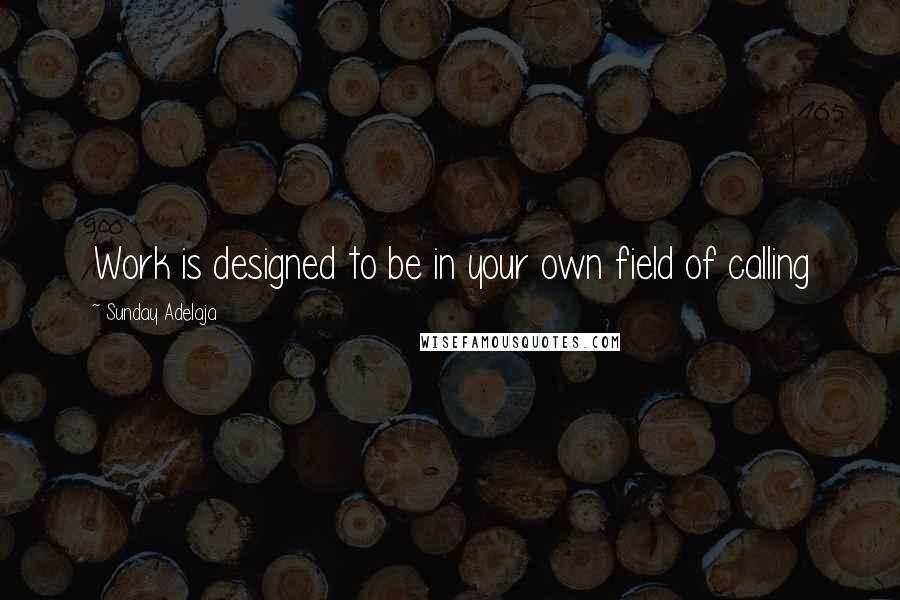 Sunday Adelaja Quotes: Work is designed to be in your own field of calling