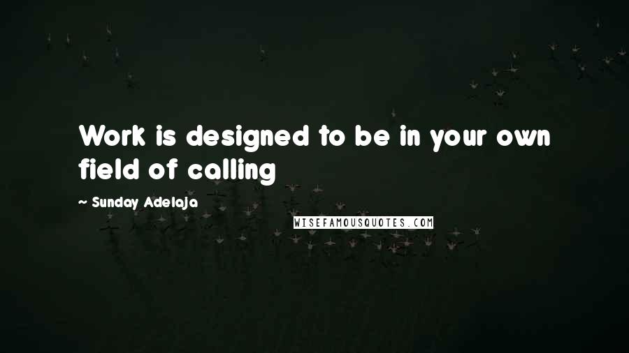 Sunday Adelaja Quotes: Work is designed to be in your own field of calling
