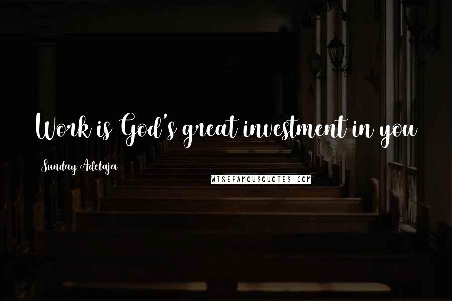 Sunday Adelaja Quotes: Work is God's great investment in you