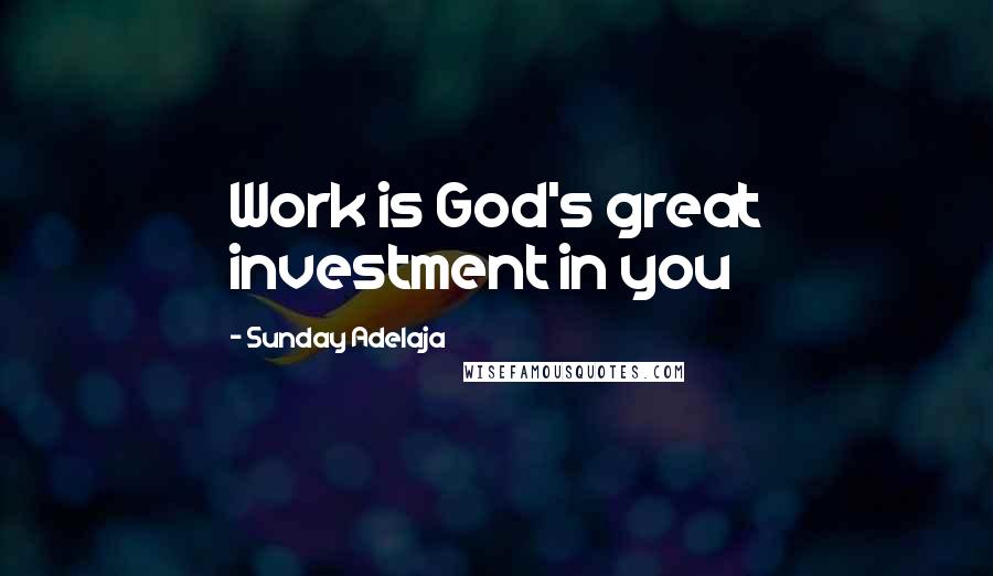 Sunday Adelaja Quotes: Work is God's great investment in you