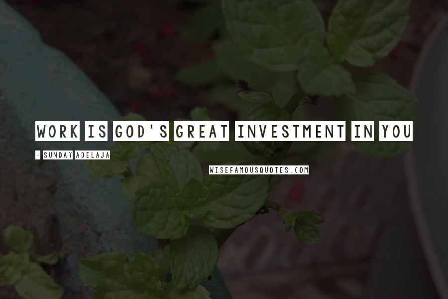Sunday Adelaja Quotes: Work is God's great investment in you