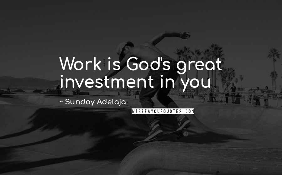 Sunday Adelaja Quotes: Work is God's great investment in you