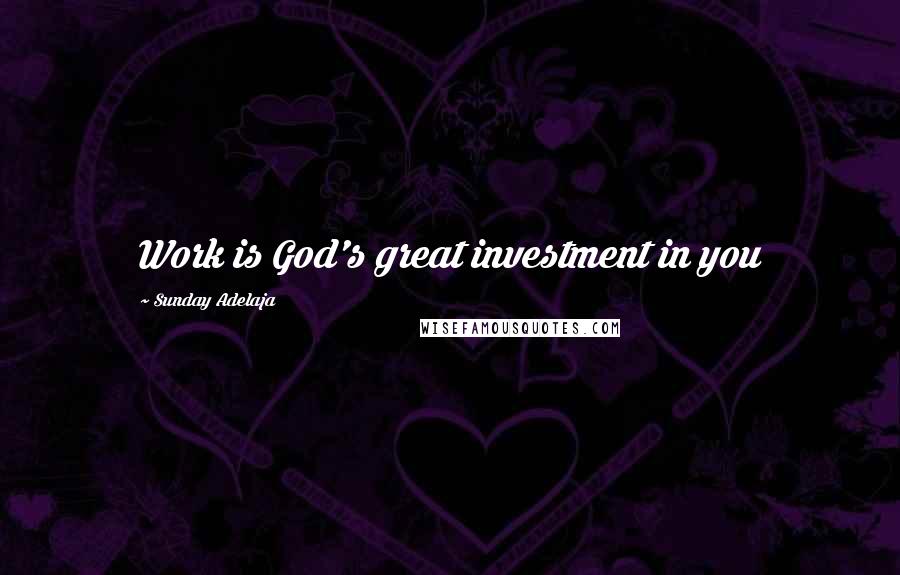 Sunday Adelaja Quotes: Work is God's great investment in you