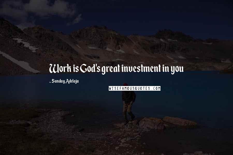 Sunday Adelaja Quotes: Work is God's great investment in you