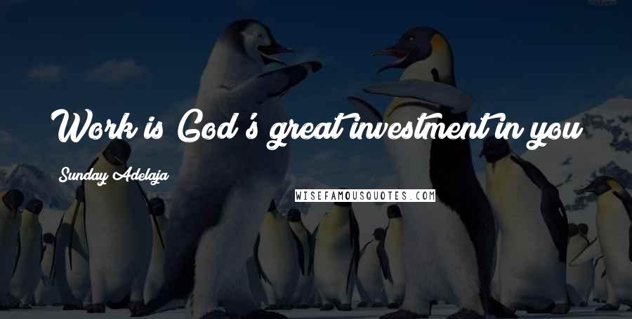 Sunday Adelaja Quotes: Work is God's great investment in you