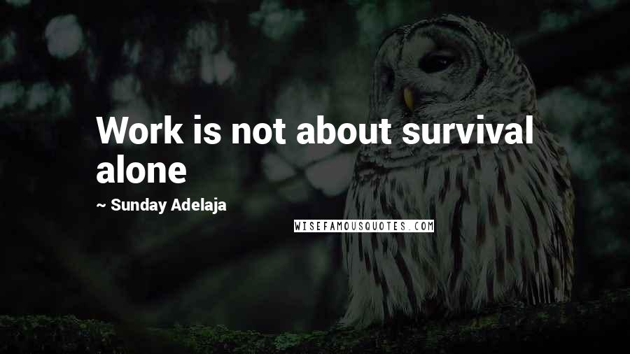 Sunday Adelaja Quotes: Work is not about survival alone