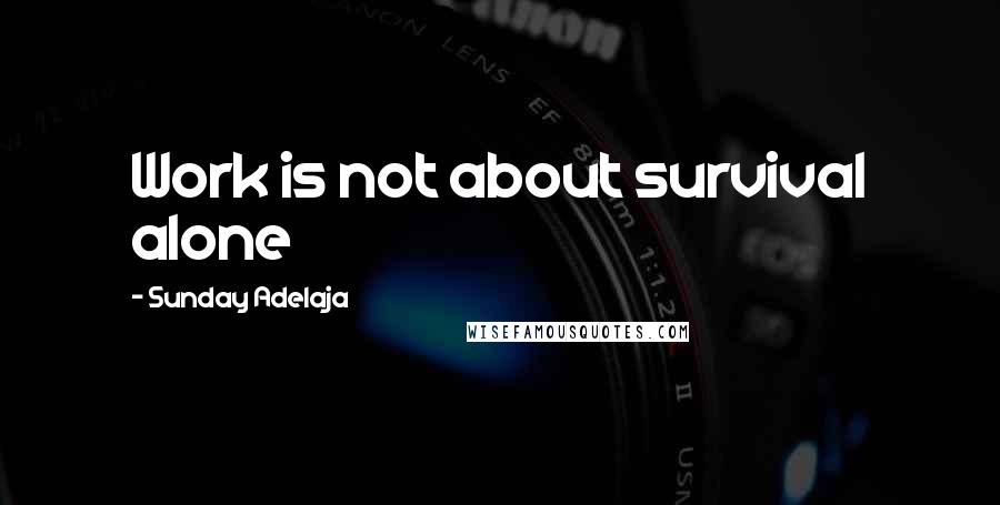 Sunday Adelaja Quotes: Work is not about survival alone