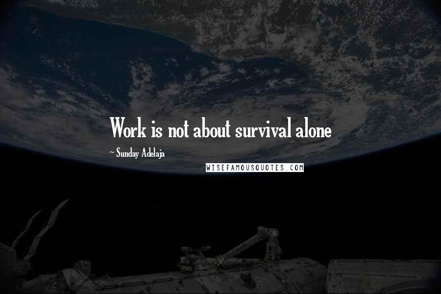 Sunday Adelaja Quotes: Work is not about survival alone